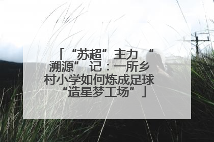 “苏超”主力 “溯源” 记：一所乡村小学如何炼成足球 “造星梦工场”