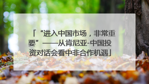 “进入中国市场，非常重要”——从肯尼亚-中国投资对话会看中非合作机遇