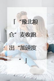 “豫北粮仓”麦收跑出“加速度”