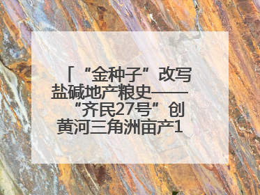 “金种子”改写盐碱地产粮史——“齐民27号”创黄河三角洲亩产1200斤奇迹