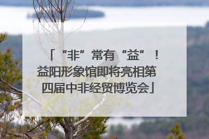 “非”常有“益”！益阳形象馆即将亮相第四届中非经贸博览会