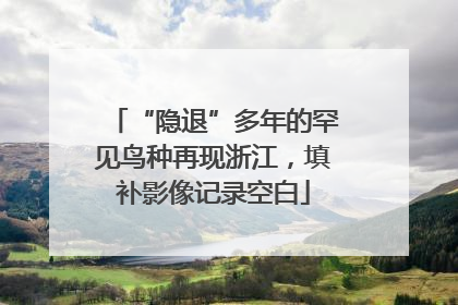 “隐退”多年的罕见鸟种再现浙江，填补影像记录空白