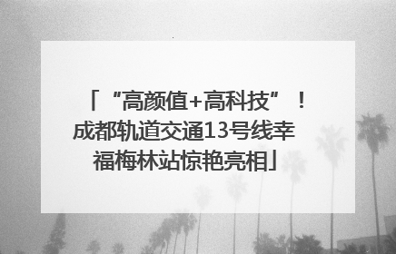 “高颜值+高科技”！成都轨道交通13号线幸福梅林站惊艳亮相
