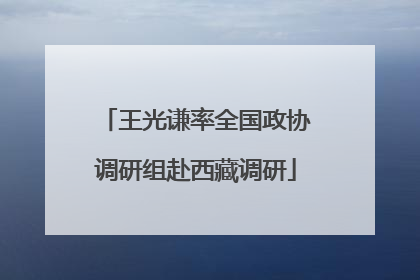 王光谦率全国政协调研组赴西藏调研