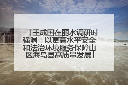 王成国在丽水调研时强调：以更高水平安全和法治环境服务保障山区海岛县高质量发展