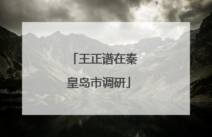 王正谱在秦皇岛市调研