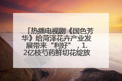 热播电视剧《国色芳华》给菏泽花卉产业发展带来“利好”，1.2亿枝芍药鲜切花绽放“国色芳华”