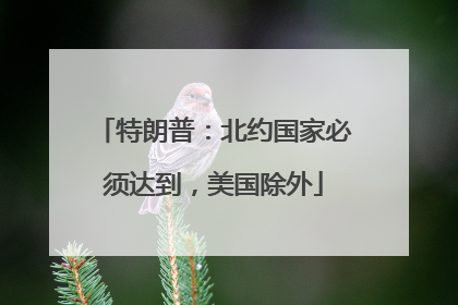 特朗普：北约国家必须达到，美国除外