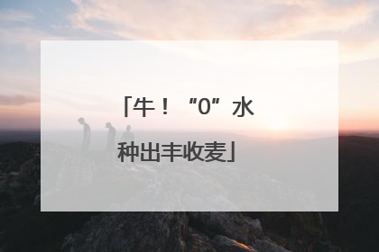 牛！“0”水种出丰收麦
