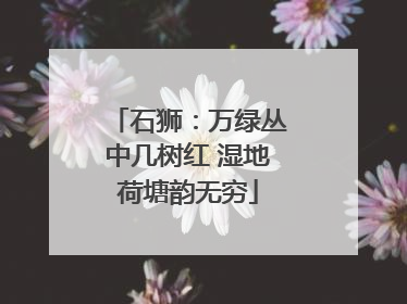 石狮：万绿丛中几树红 湿地荷塘韵无穷