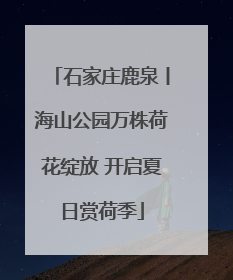 石家庄鹿泉丨海山公园万株荷花绽放 开启夏日赏荷季