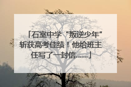 石室中学“叛逆少年”斩获高考佳绩！他给班主任写了一封信……