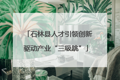 石林县人才引领创新驱动产业“三级跳”