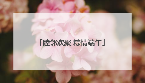睦邻欢聚 粽情端午