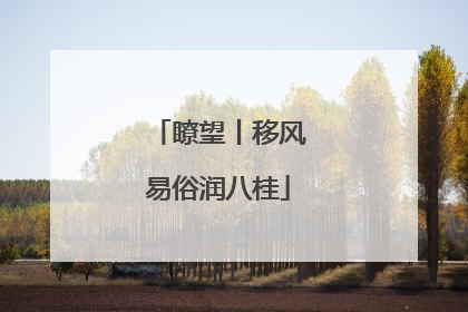 瞭望丨移风易俗润八桂