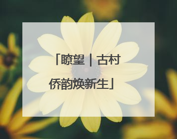 瞭望｜古村侨韵焕新生