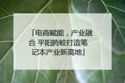 电商赋能，产业融合 平阳腾蛟打造笔记本产业新高地