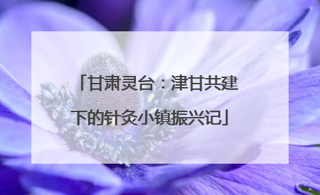 甘肃灵台：津甘共建下的针灸小镇振兴记