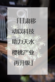 甘肃移动以科技助力天水樱桃产业再升级
