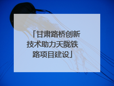 甘肃路桥创新技术助力天陇铁路项目建设