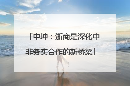 申坤：浙商是深化中非务实合作的新桥梁
