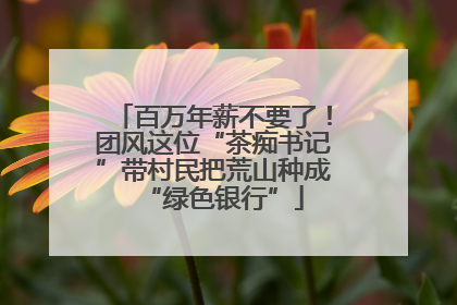 百万年薪不要了！团风这位“茶痴书记”带村民把荒山种成“绿色银行”