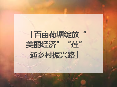 百亩荷塘绽放“美丽经济”“莲”通乡村振兴路