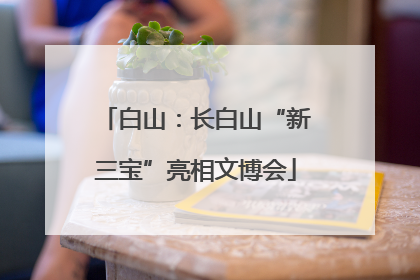 白山：长白山“新三宝”亮相文博会