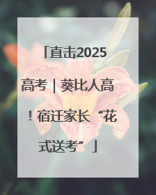 直击2025高考｜葵比人高！宿迁家长“花式送考”