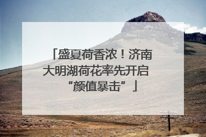 盛夏荷香浓！济南大明湖荷花率先开启“颜值暴击”