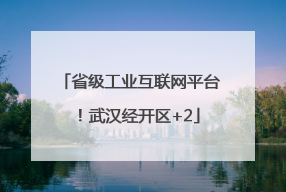 省级工业互联网平台！武汉经开区+2