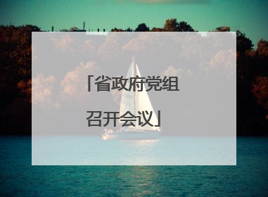 省政府党组召开会议