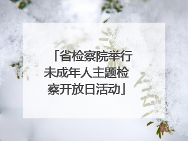 省检察院举行未成年人主题检察开放日活动