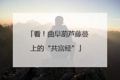 看！曲阜葫芦藤蔓上的“共富经”