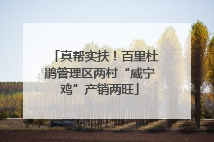 真帮实扶！百里杜鹃管理区两村“威宁鸡”产销两旺
