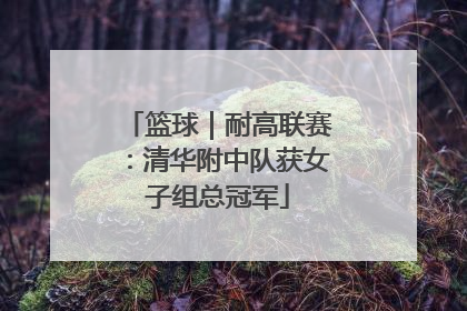 篮球｜耐高联赛：清华附中队获女子组总冠军