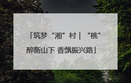 筑梦“湘”村｜“桃”醉衡山下 香飘振兴路