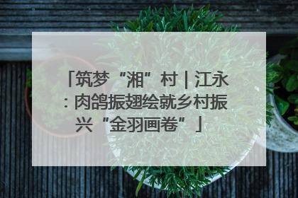 筑梦“湘”村｜江永：肉鸽振翅绘就乡村振兴“金羽画卷”