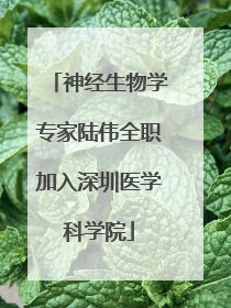 神经生物学专家陆伟全职加入深圳医学科学院