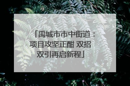 禹城市市中街道：项目攻坚正酣 双招双引再启新程
