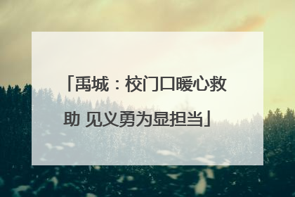 禹城：校门口暖心救助 见义勇为显担当