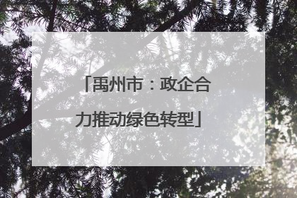 禹州市：政企合力推动绿色转型