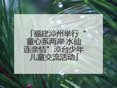 福建漳州举行“童心系两岸·水仙连亲情”漳台少年儿童交流活动