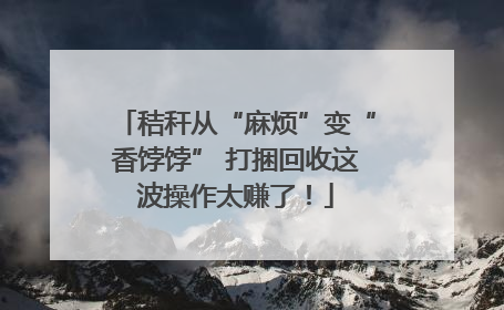 秸秆从“麻烦”变“香饽饽” 打捆回收这波操作太赚了！