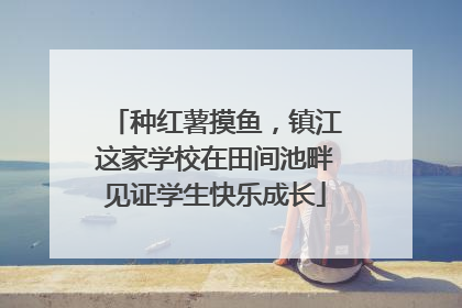 种红薯摸鱼，镇江这家学校在田间池畔见证学生快乐成长
