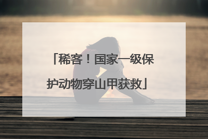 稀客！国家一级保护动物穿山甲获救