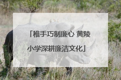 稚手巧制廉心 黄陵小学深耕廉洁文化