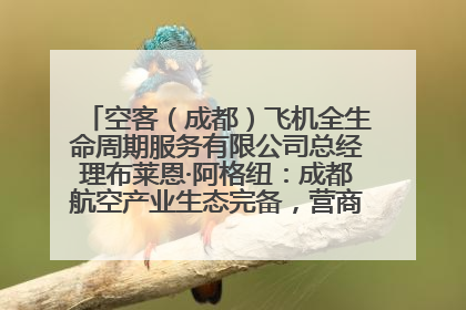空客（成都）飞机全生命周期服务有限公司总经理布莱恩·阿格纽：成都航空产业生态完备，营商环境优势显著