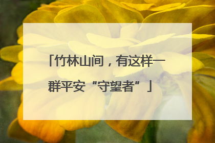 竹林山间，有这样一群平安“守望者”