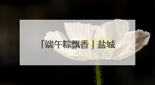 端午粽飘香｜盐城世华爱心公益慈善服务中心携手爱心企业发起情暖“城市守护者”慰问活动